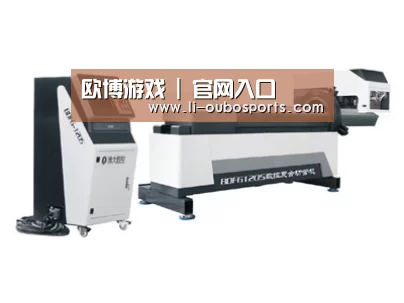 案例展示三