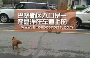 巴黎新区入口是一座悬浮在车道上的半月形花园‘abg欧博官网’(图1) 欧博