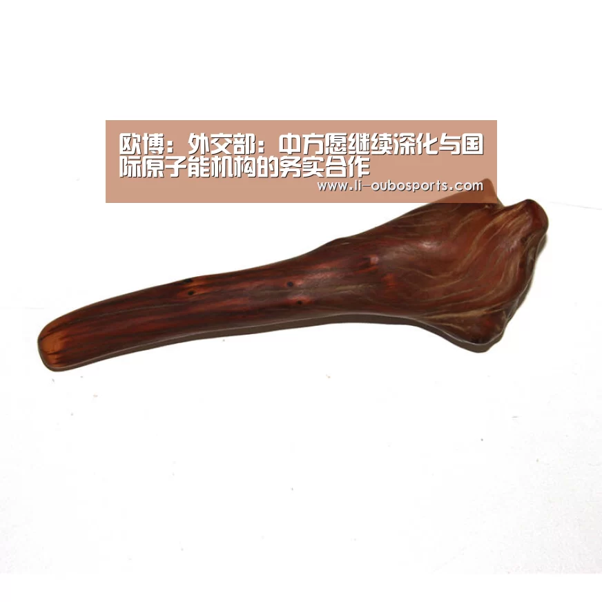 欧博：外交部：中方愿继续深化与国际原子能