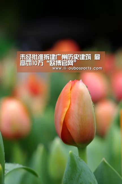 未经批准拆建广州历史建筑 最高罚10万“欧博官网”(图1) 欧博官网