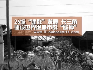 26城“建群”发展 长三角建设世界级城市群“欧博”(图2) 欧博