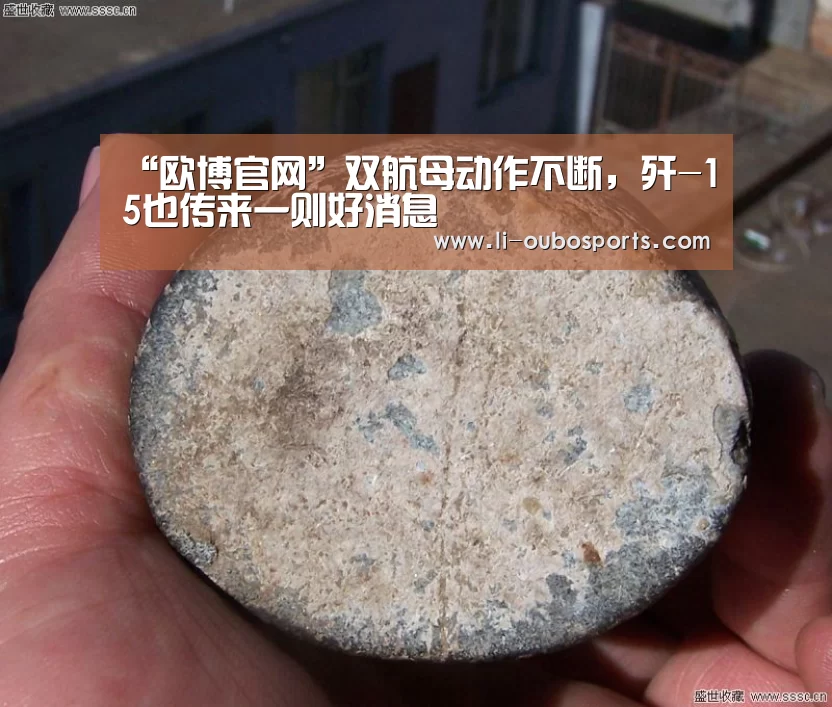 “欧博官网”双航母动作不断,歼-15也传来一则好消息(图3) 欧博